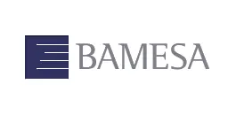 Bamesa